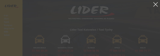 Lider Taxi Emil Piputa